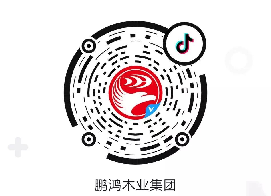 这厢有礼丨这个春节我最鸿，抖音相伴幸福年