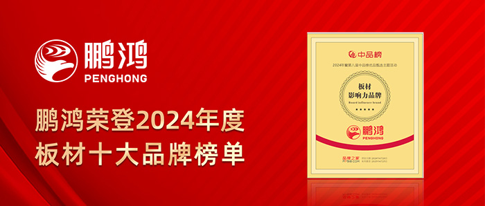 乐天堂fun88荣登2024年度板材十大品牌榜单
