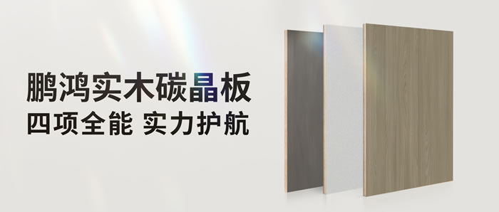 四项全能碳晶板，解锁家装超能力